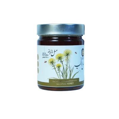 خرید عسل رازیانه طبیعی؛ رازِ مگویِ طبیعت برای سلامت بانوان و تعادل بدن